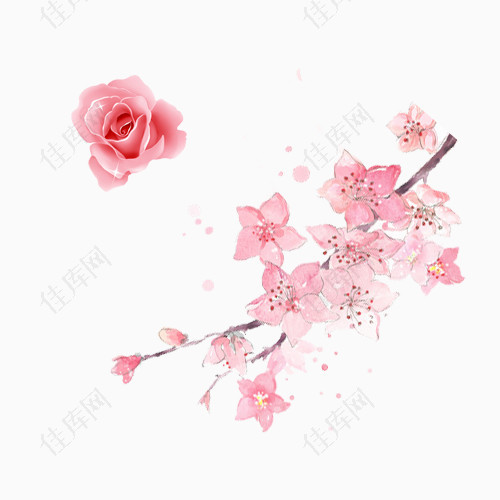 粉色花树枝