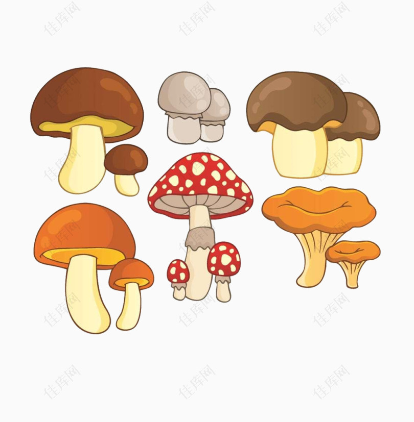 手绘蘑菇类