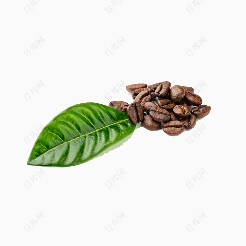 咖啡豆元素