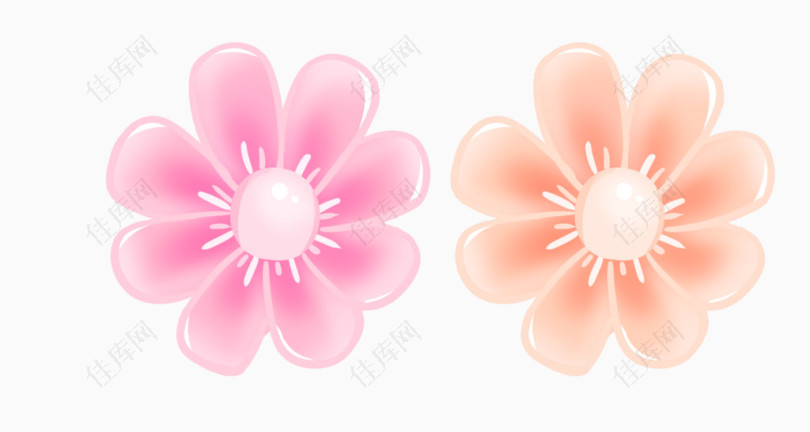 粉色花瓣图案