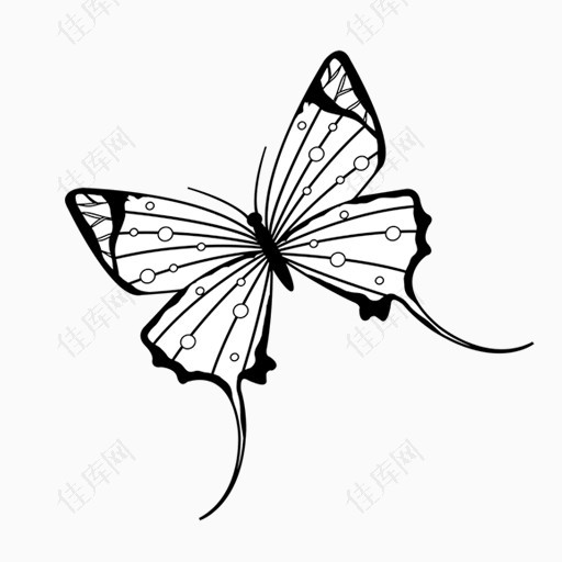 卡通手绘黑色线条蝴蝶