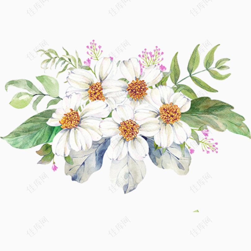 手绘白色盛开的花朵