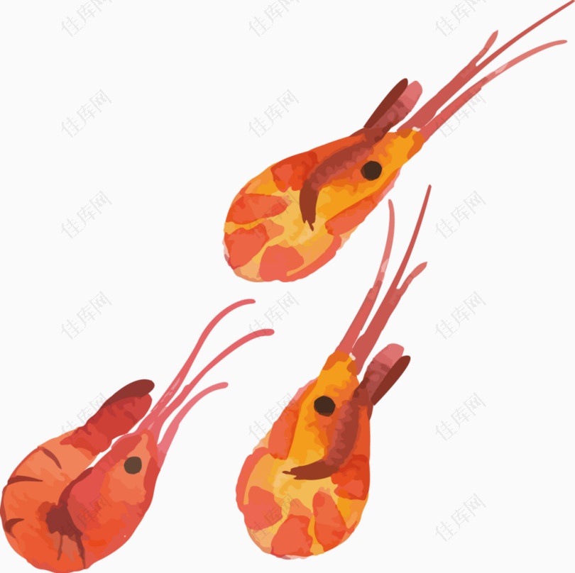红色手绘虾