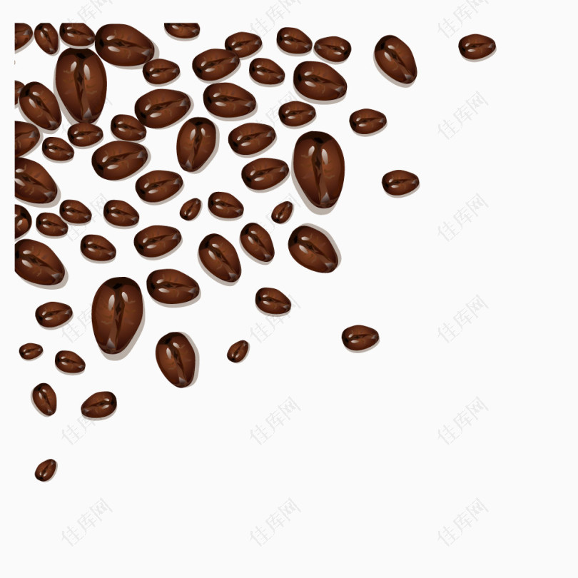 大小咖啡豆