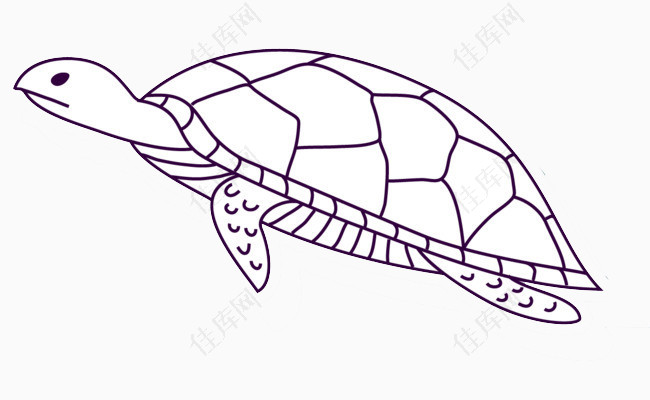 线条动物海龟卡纸