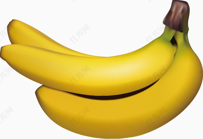 写实香蕉