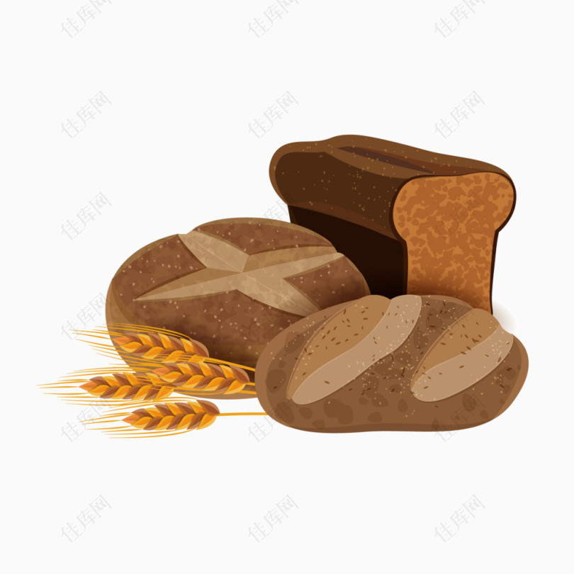 矢量面包素材