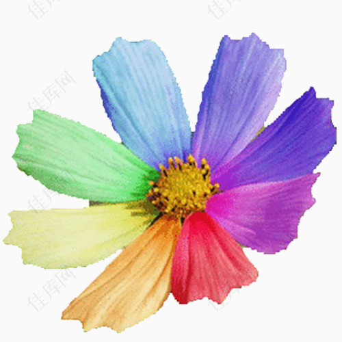 七色花花瓣png元素图片素材 佳库网