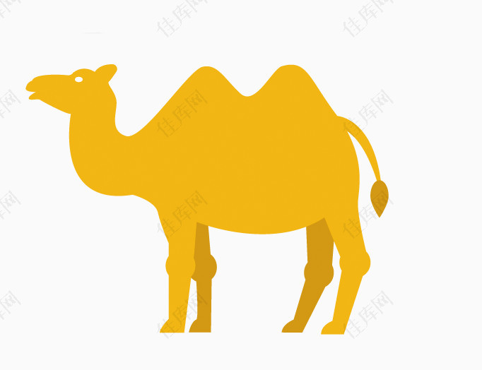 骆驼手绘素材