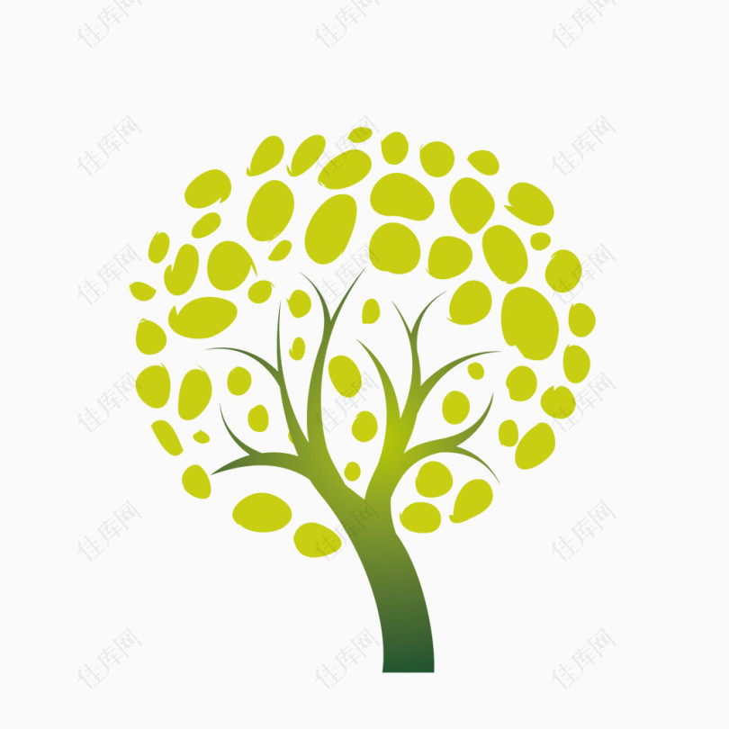 绿色植物树枝