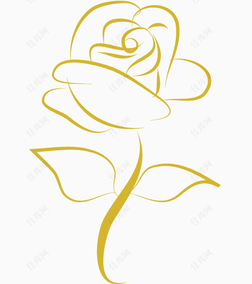 金色线条的玫瑰花