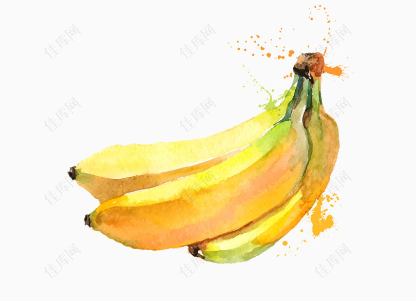 矢量黄色手绘水果香蕉