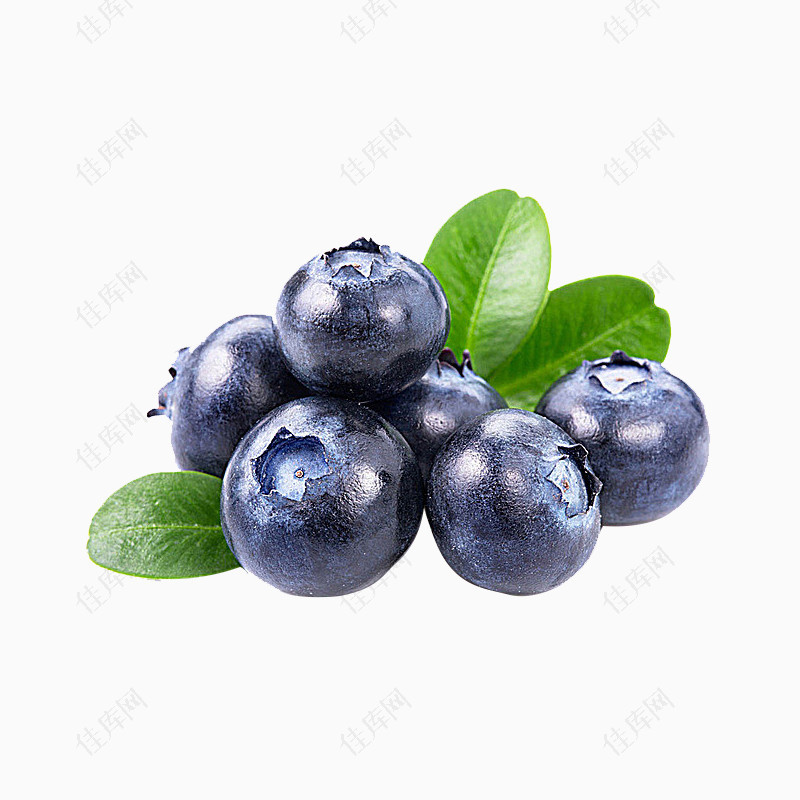新鲜蓝莓紫色水果