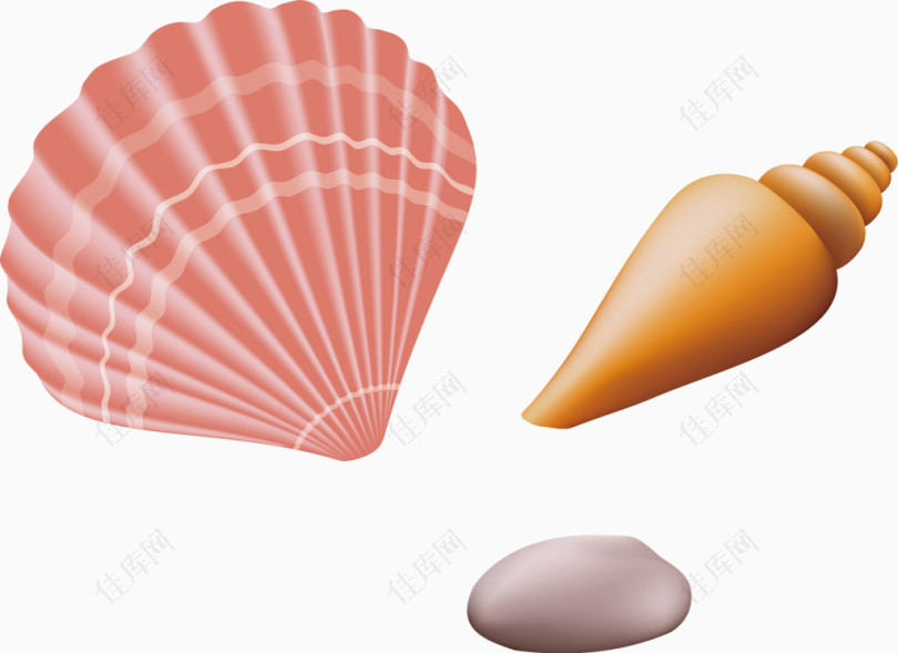 沙滩贝壳矢量图
