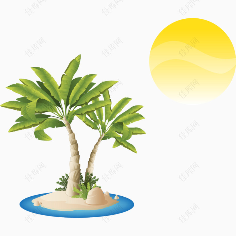 海边的椰树风景
