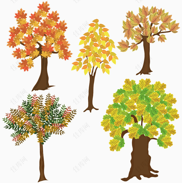 5个手绘秋季树木