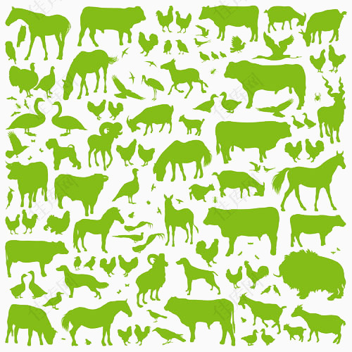 绿色动物剪影图片