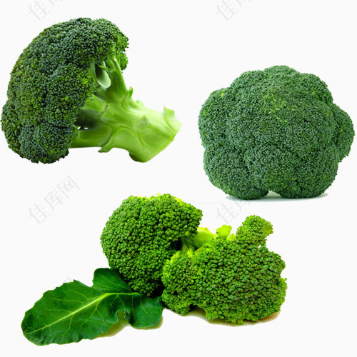 西兰花绿色蔬菜