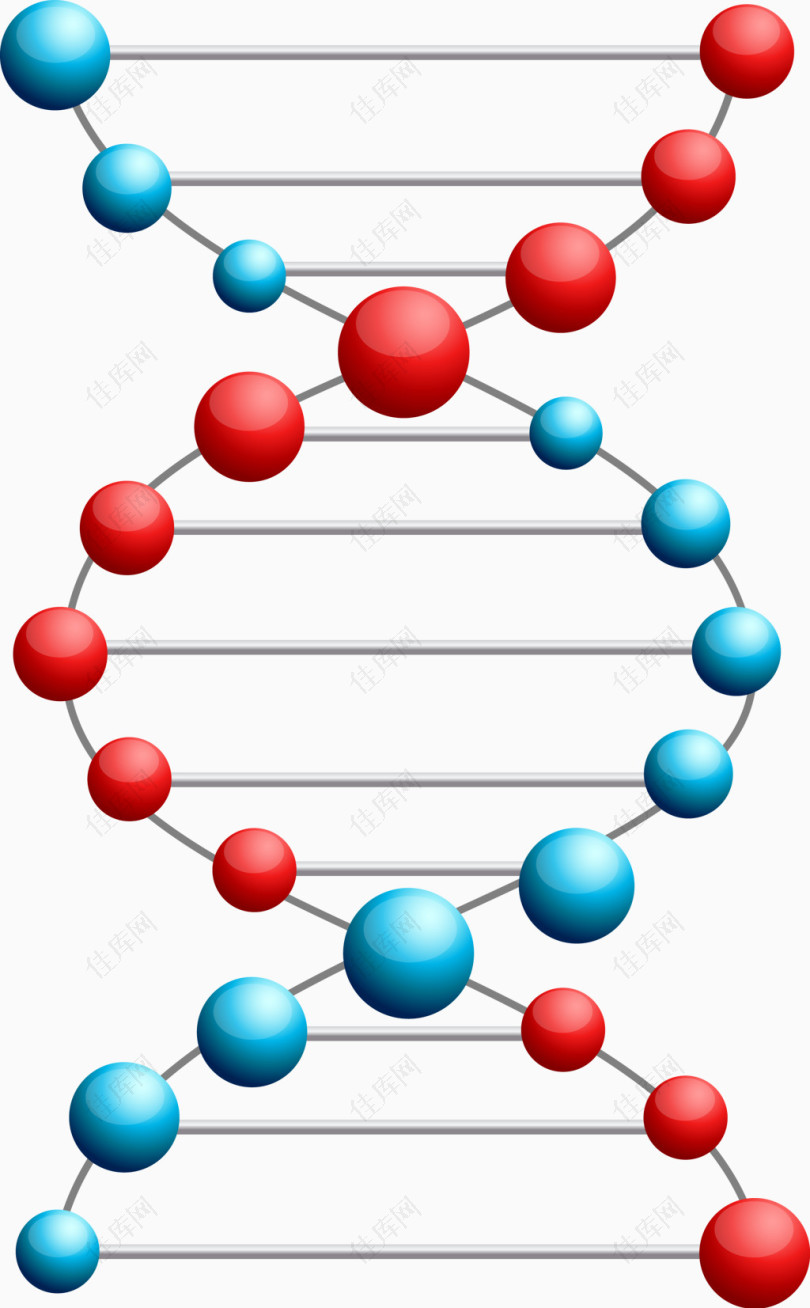 矢量手绘DNA排列