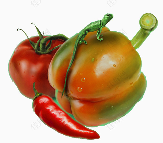 卡通蔬菜西红柿辣椒