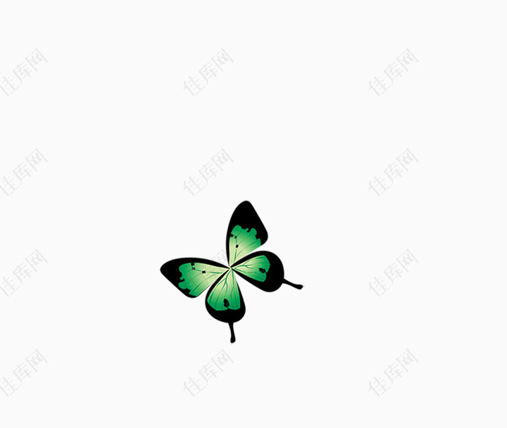 绿蝴蝶