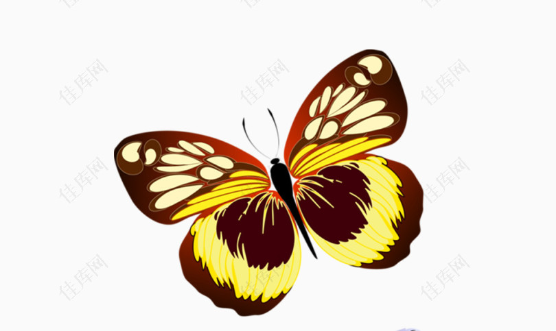 可爱黄色蝴蝶
