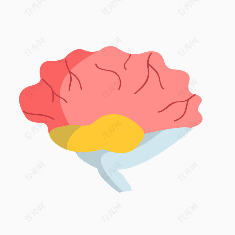 卡通人体大脑素材