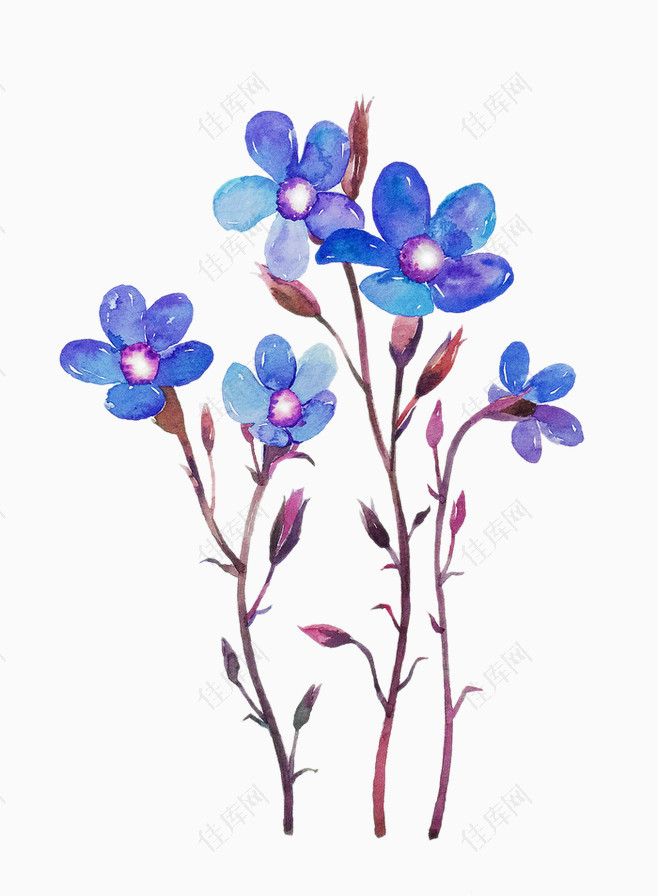 卡通手绘植物花朵