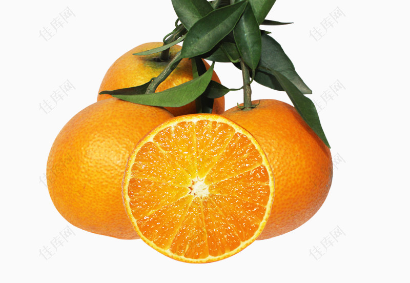 鲜甜的橙子