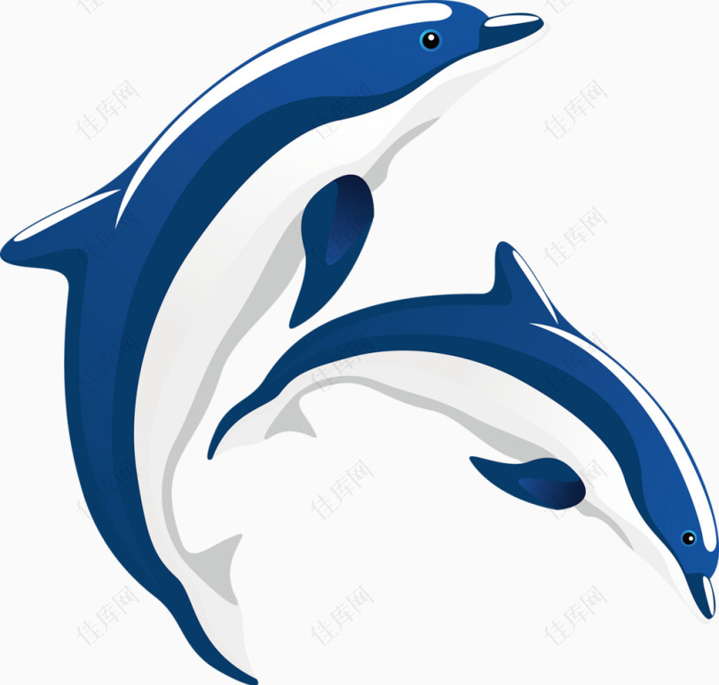 海豚卡通手绘装饰元素