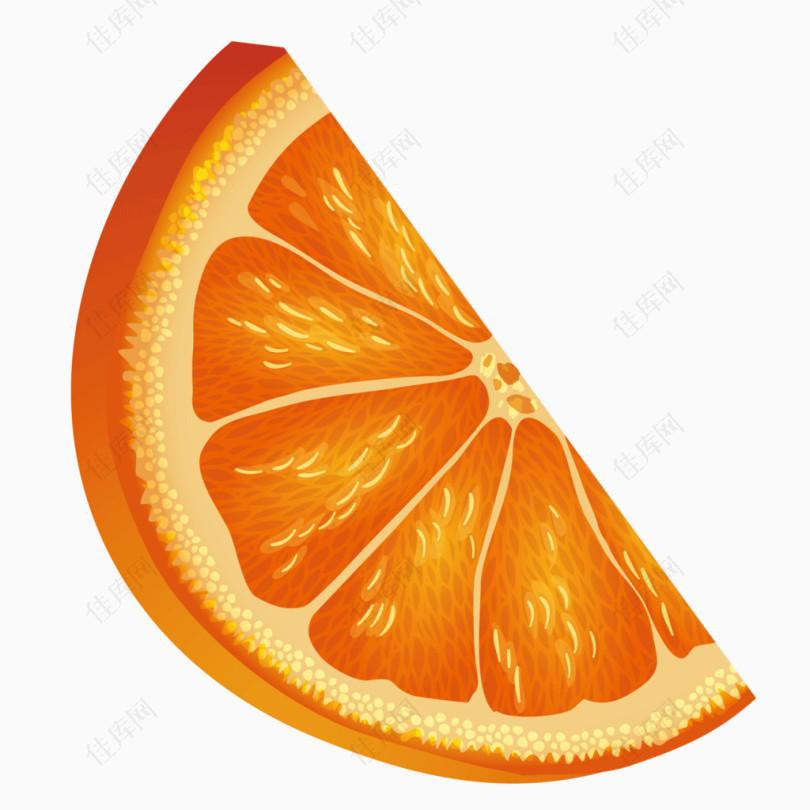 矢量水果俯视黄色橙子