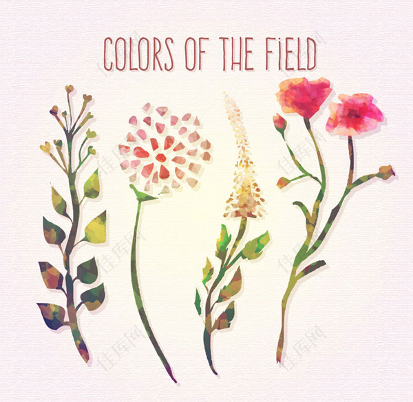 彩色花卉设计矢量