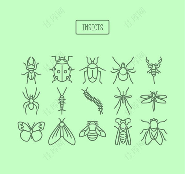 昆虫图标矢量